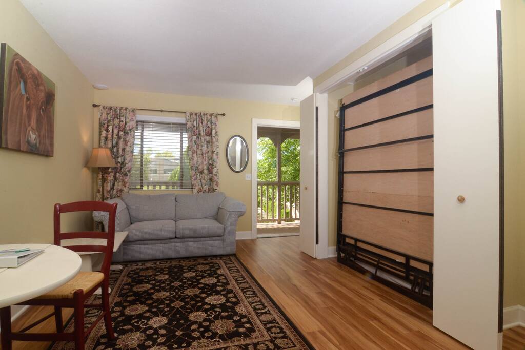 ...which contains a Murphy Bed--making efficient use of space, allowing for a comfortable sitting area during the day and a comfortable sleeping area at night. This is "tiny home" before tiny home was cool!