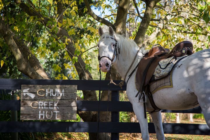 Chum Creek Hut – Yarra Valley country escape gallery image 4