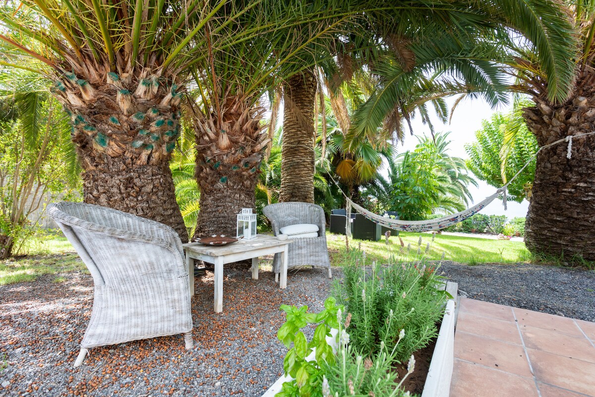 A relaxed seating area is nestled among tall palm trees, featuring two woven chairs and a small table. A hammock is hung between the trees, providing a peaceful spot for rest. Decorative plants surround the pebbled area, enhancing the natural setting.