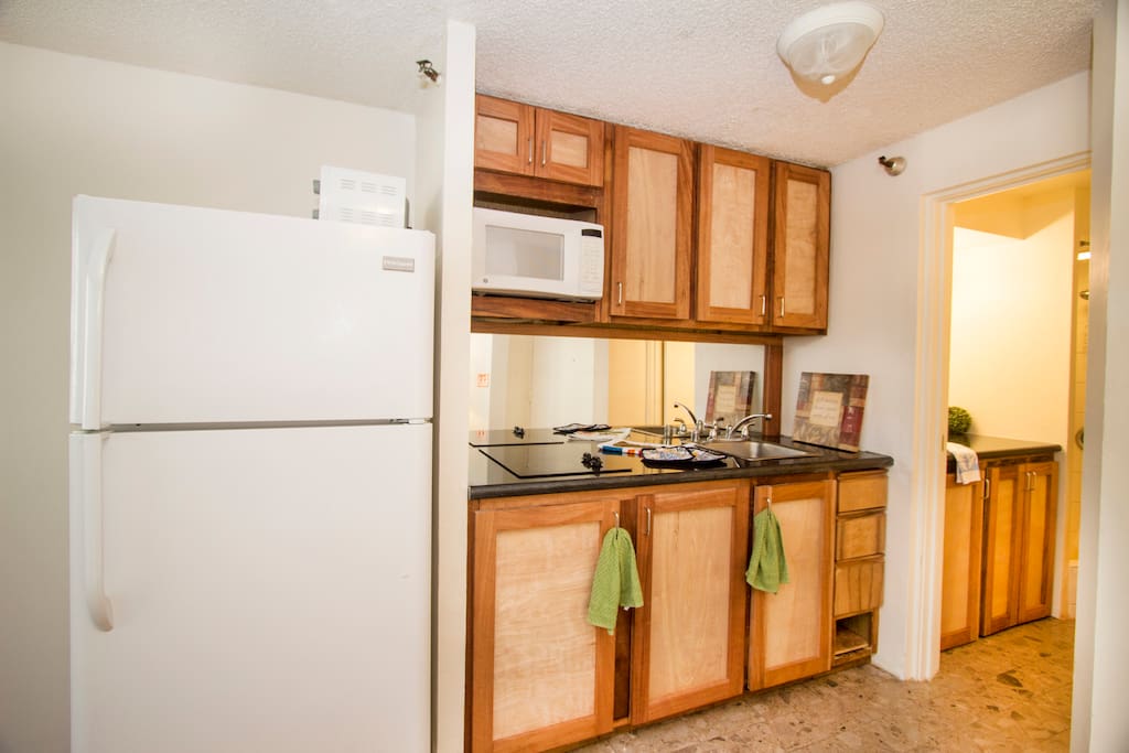 full kitchen and refrigerator