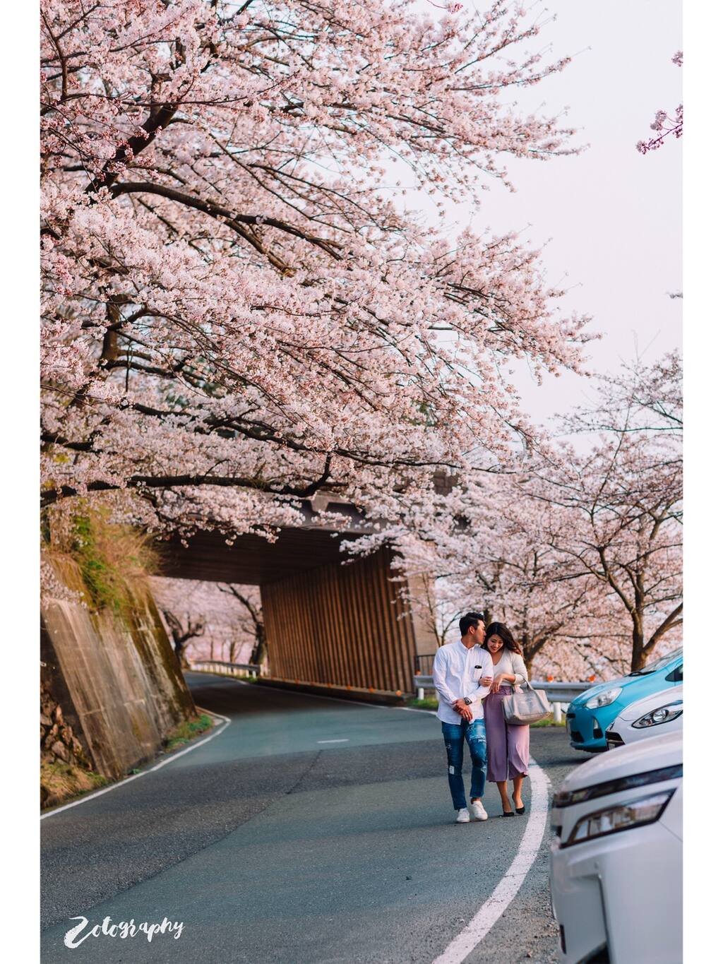 樱木 花道 向着漫长的小美好前进 就像没有尽头 日本旅游攻略 尽在airbnb爱彼迎