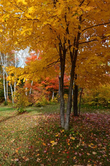 L'automne au domaine