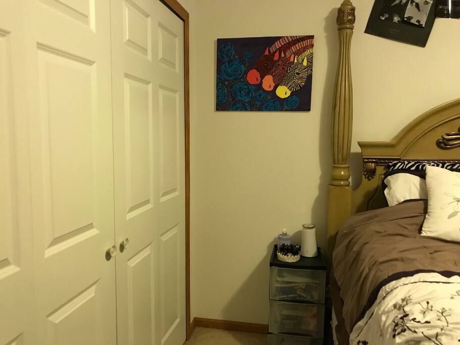 Large closet in lower level bedroom