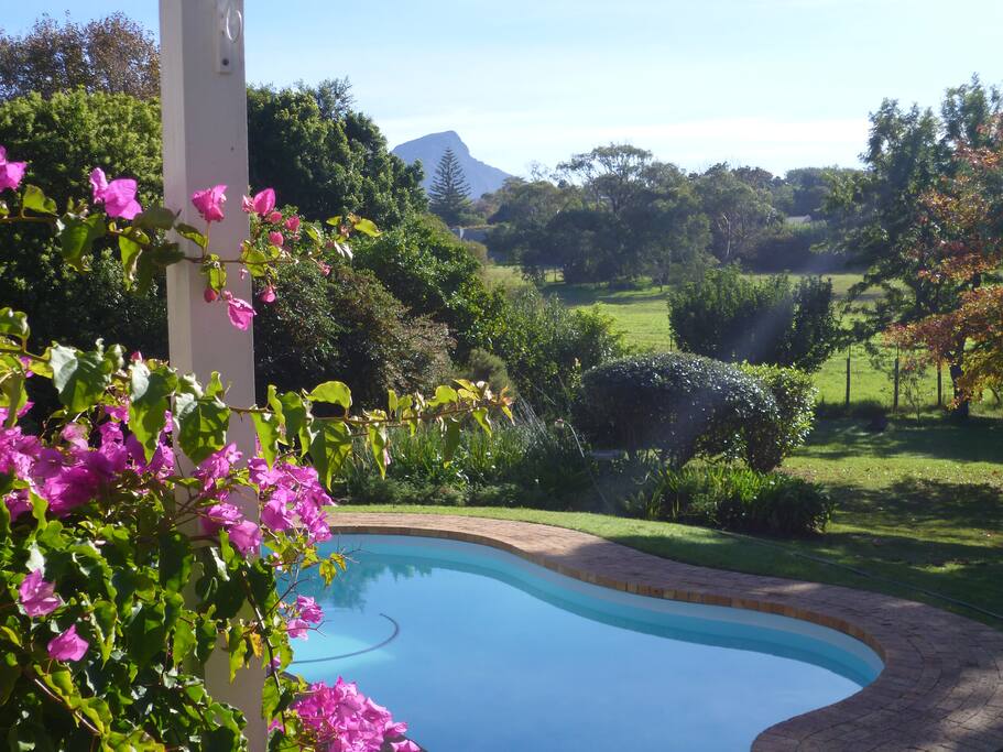 Mountain view from poolside