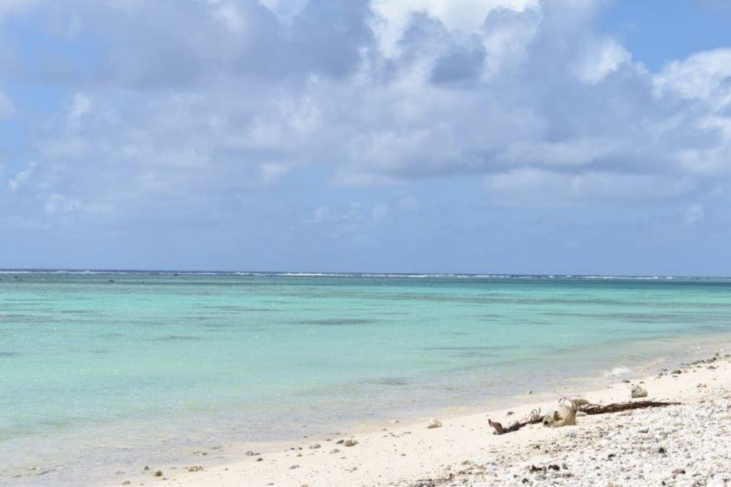 The Beach 50 meters from the house