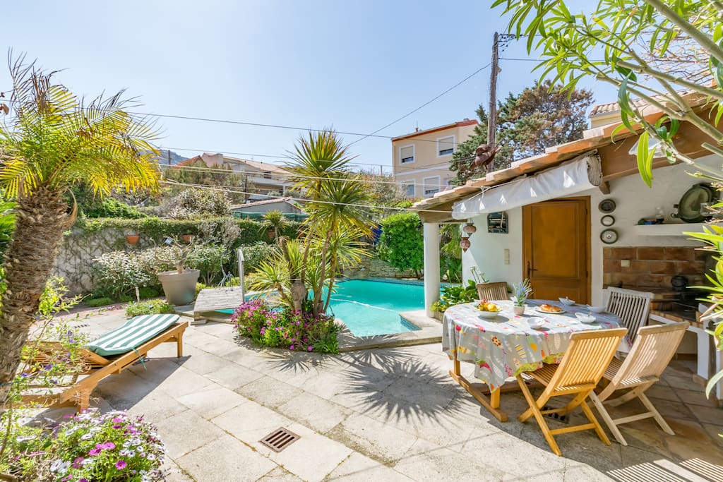 Garden with swimming pool