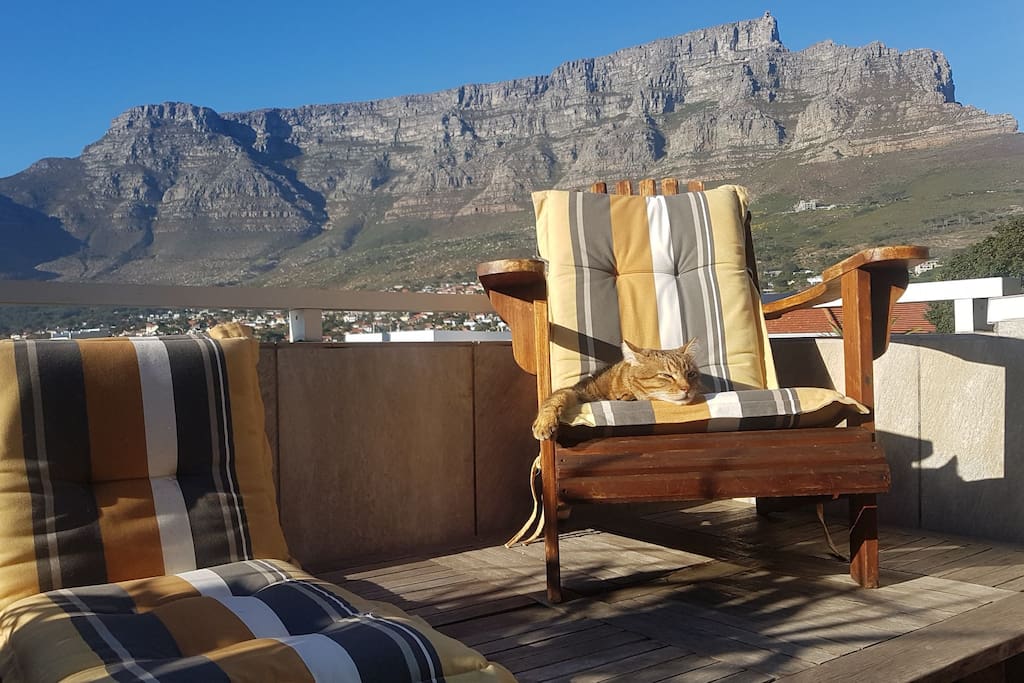 Patio with barbecue overlooking Table Mountain.