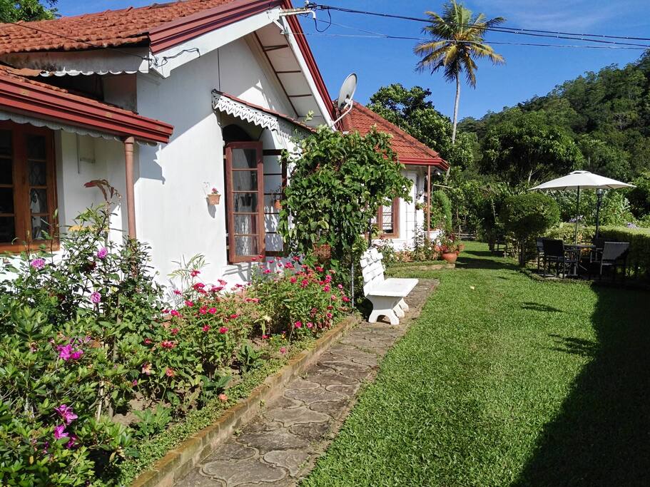 Side view of the garden in front,
