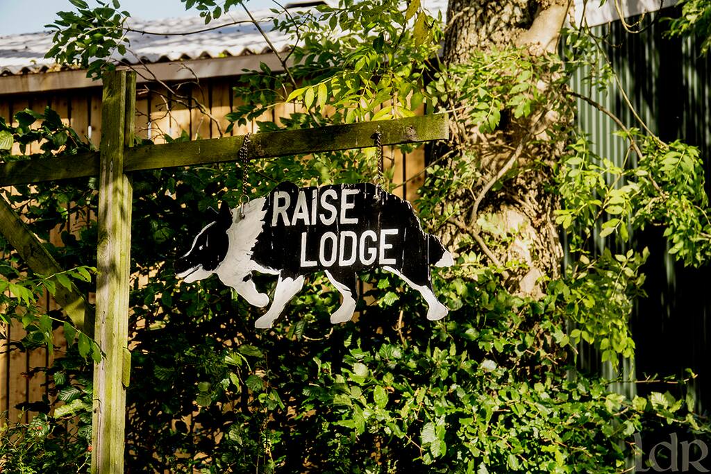 Raise Lodge is a working sheep farm that specialises in training working sheepdogs.
