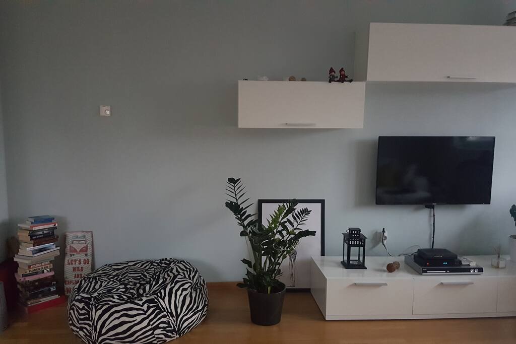 living room with TV and DVD player