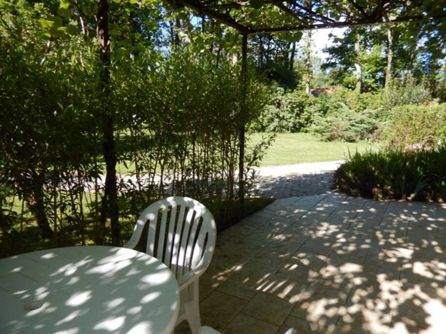vue depuis l'entrée du studio