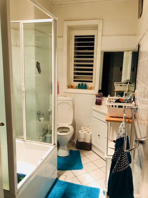 Shared Bathroom and Shower