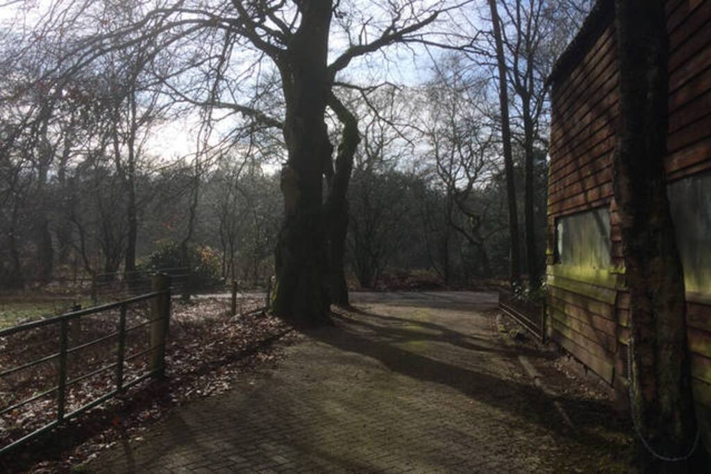 Oprit vanaf de Wekeromse buurtweg.