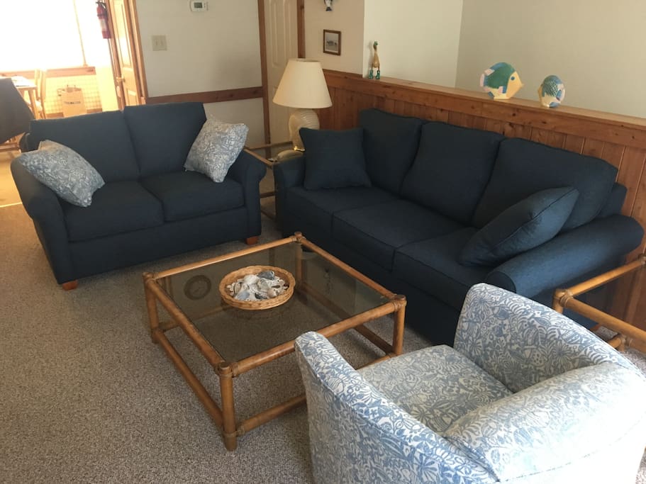 Living Room with New Comfy Sleeper Sofa