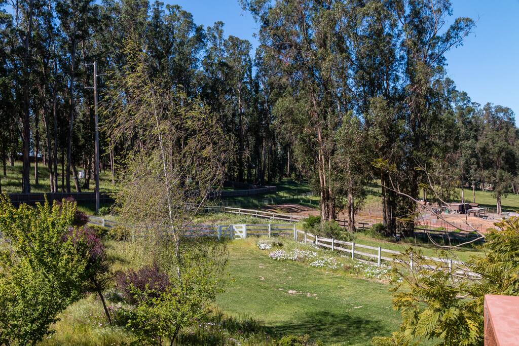 Pretty and peaceful views surround the cottage.
