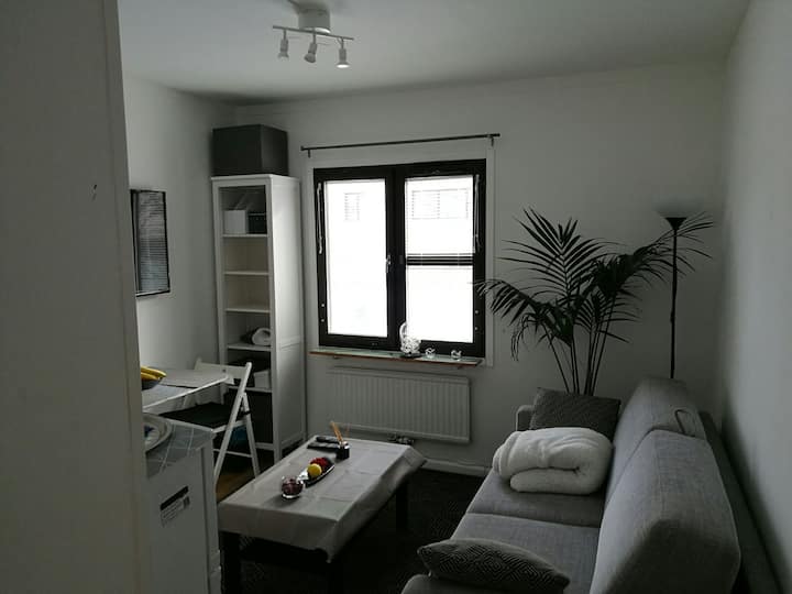 Nice as New independant studio in Stockholm Apartments for Rent in