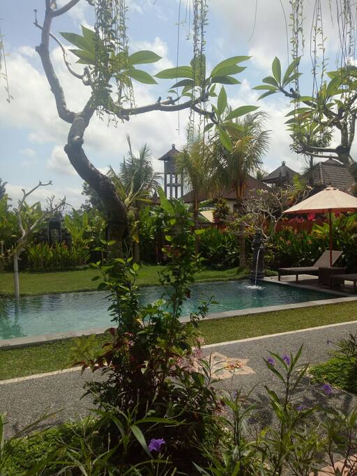 Enjoy the garden and pool from front of the room