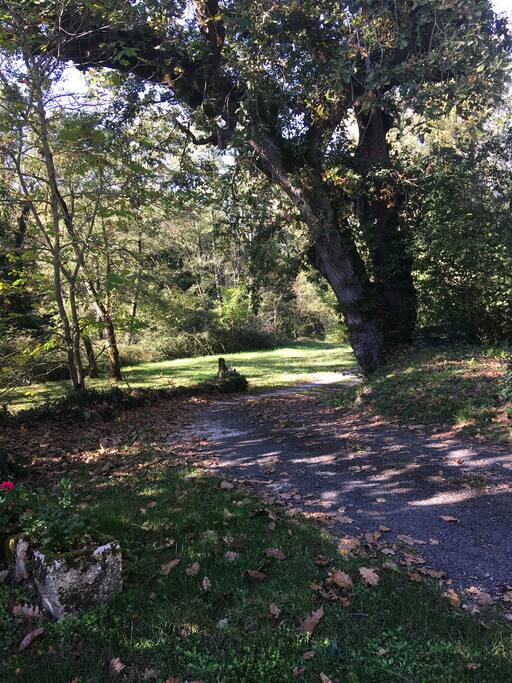 L'arrivée en automne