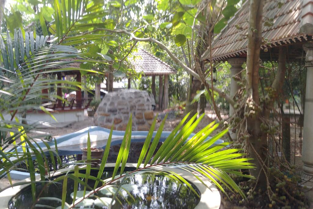 Activities area