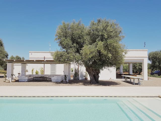 Lamia Parco Paolino gallery image 2