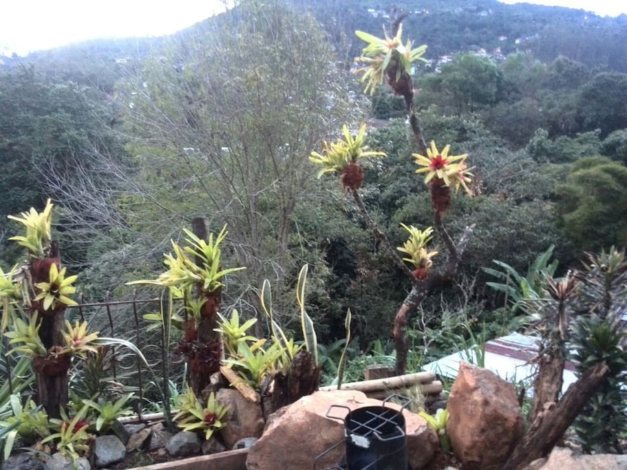 Vista panorámica desde el patio