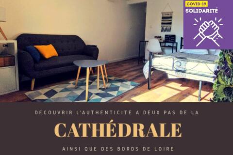 Appart Charmant de standing en plein centre ville