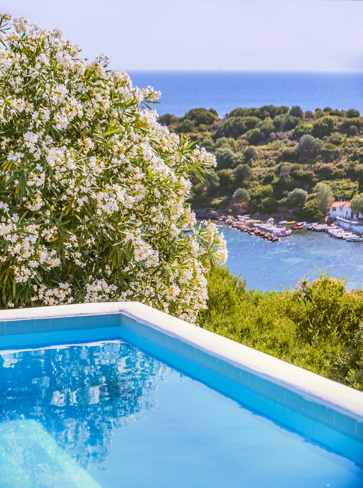 A clear blue swimming pool is framed by lush green foliage and blooming white flowers. Below, the Aegean Sea glistens under sunlight, with verdant hillsides and a small harbor visible in the distance.
