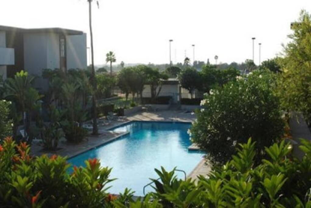 Gorgeous Pool