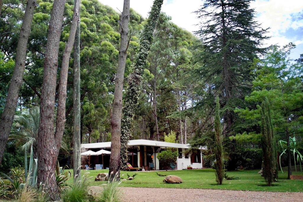 Your home in the forrest