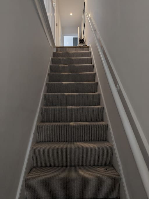 Entrance to the flat