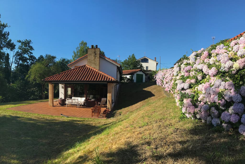 La casa desde el jardín... hortensias en verano.