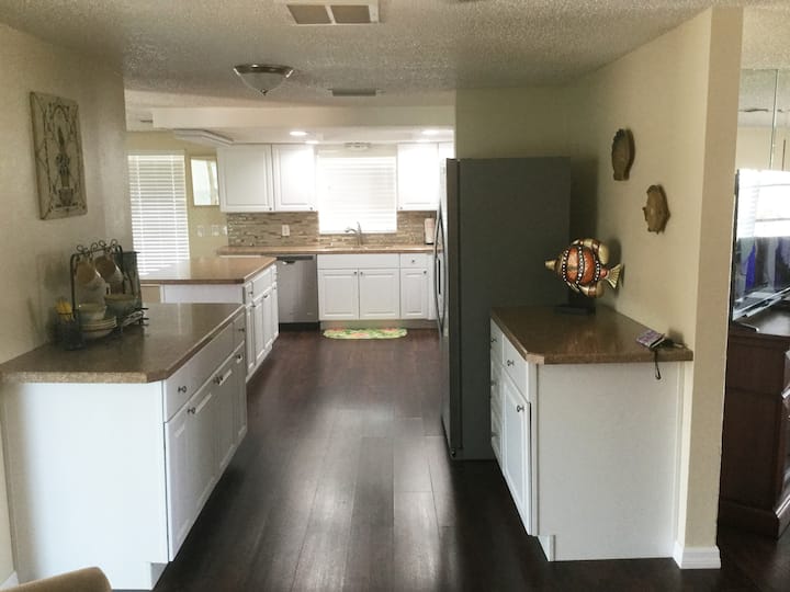 Top 10 PetFriendly Rentals In Pasco County, Florida Trip101