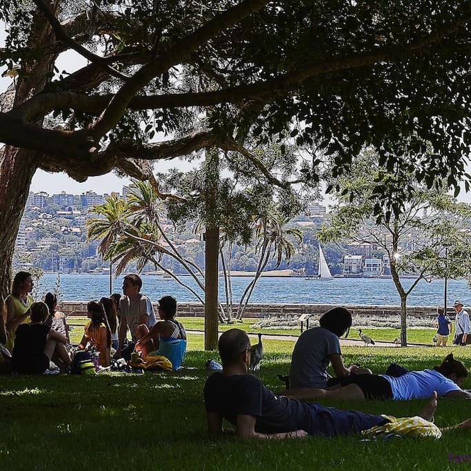 Photo de Royal Botanic Gardens