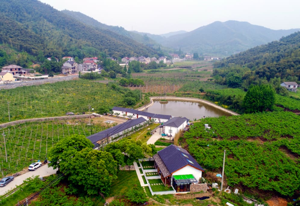 全景