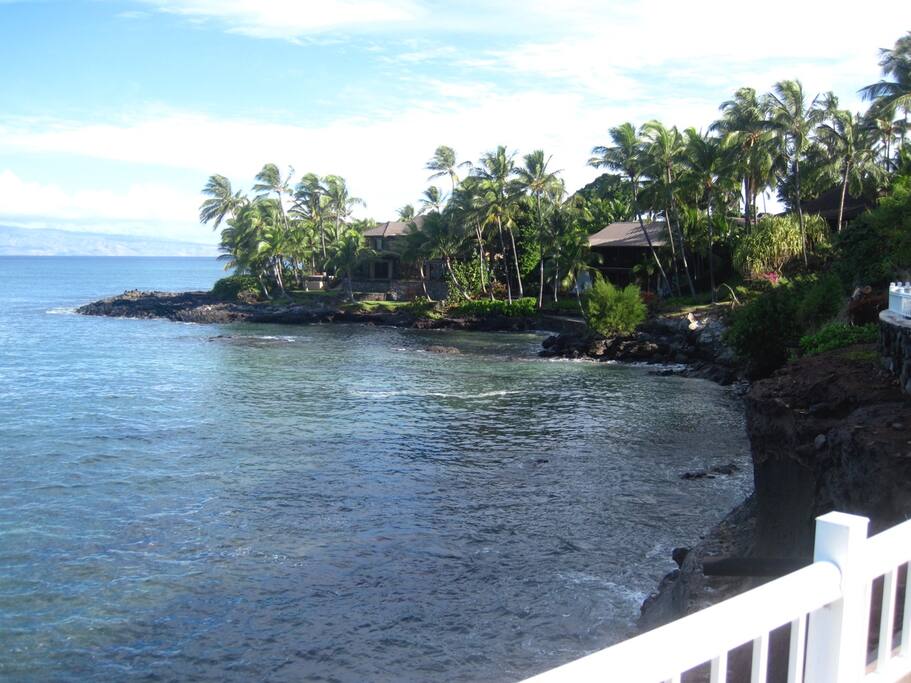 The bay is full of turtles and tropical fish. A small handful of luxurious private homes are our only neighbors. This is not a hotel zone!