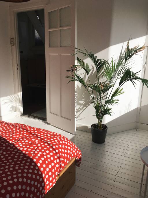 Light and bright room