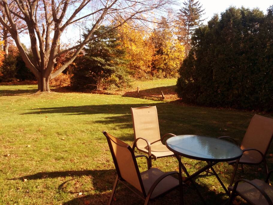 Just part of the backyard... fall sun!