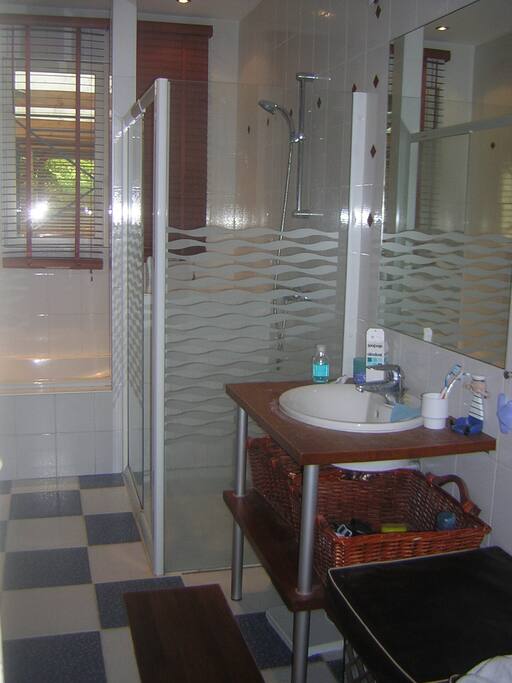 salle de bain-douche+ baignoire