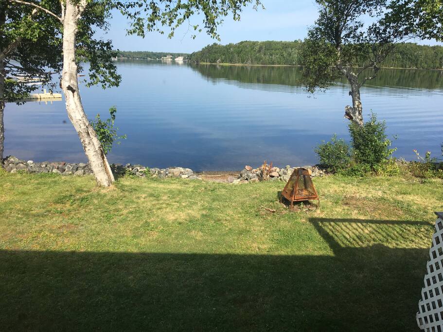 View from the sunroom!