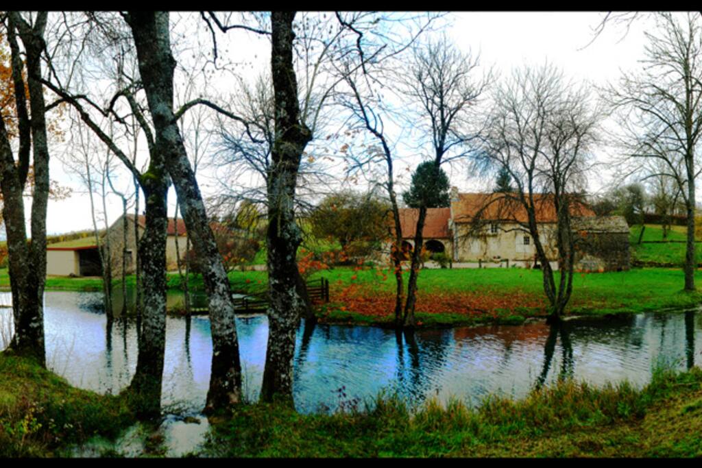 Several sources feed the pond
