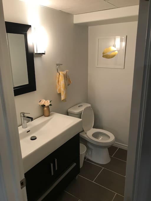 Downstairs bathroom