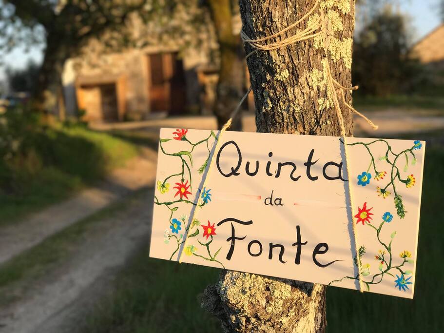 Welcome!
