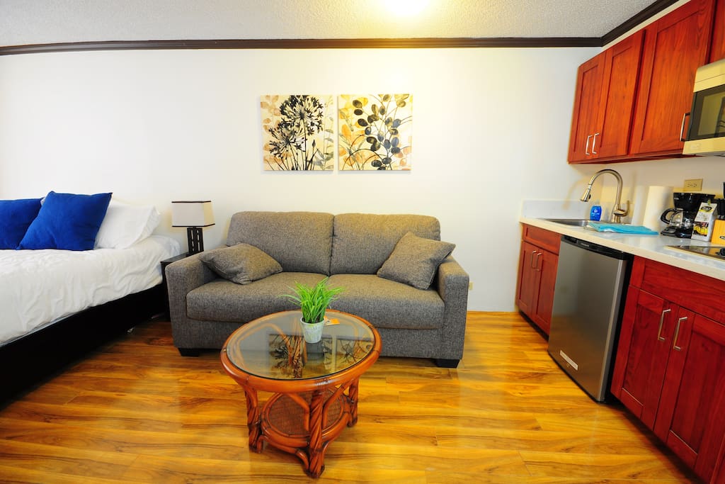 View of the sofa bed and the kitchenette on the right.