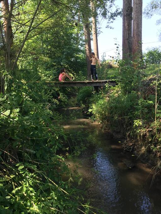 The creak in the backyard