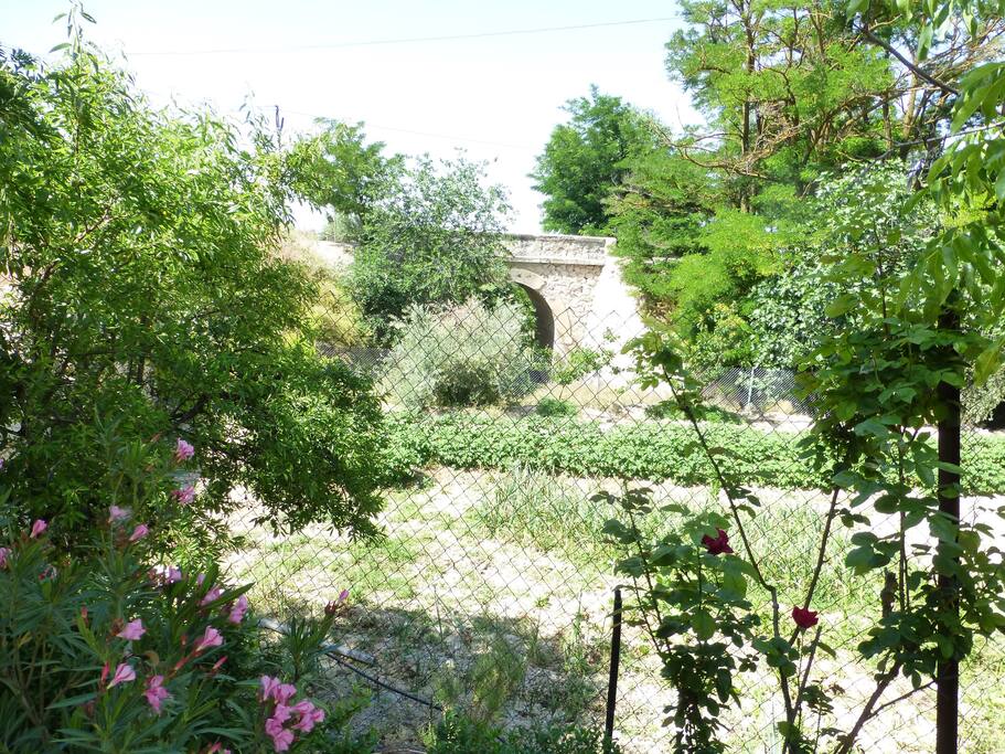 Huerto bajo Puente de Triana
Vegetable Garden under Triana Bridge