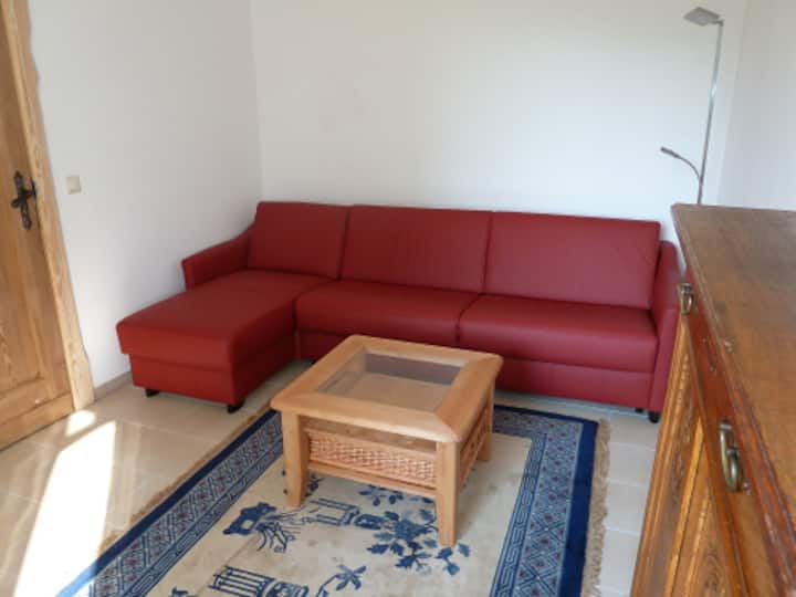 la sala de estar con sofá cama de 160 x 200 cm