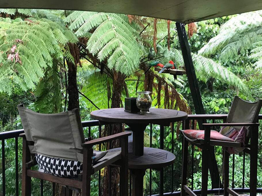 Breakfast with local birds?