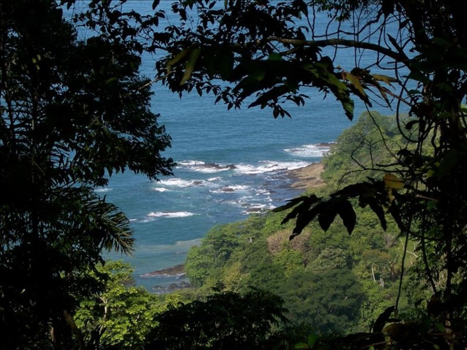Selva's porch view