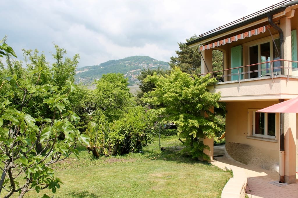 Image Result For Garden Center Lavaux