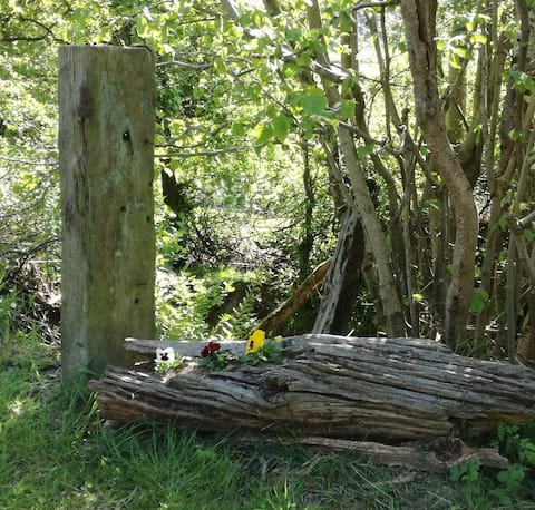 Static Caravan farm stay